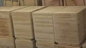 resized_839bfb310c6cf81fa687a1fa0f1f025e