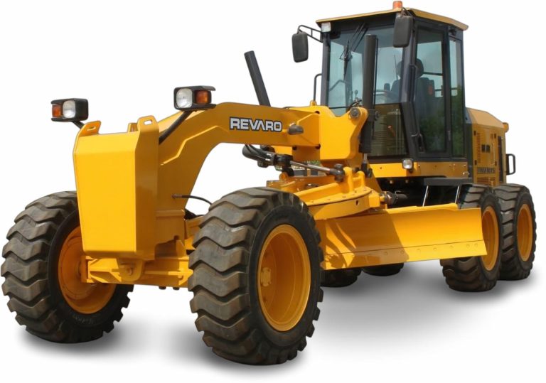 resized_trex1075_20260311095221