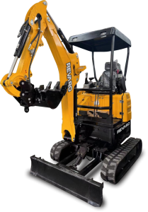 resized_trex622_20250121125405