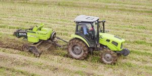 655113788_122288243942070608_1285700762381915348_n