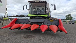 656901344_122288242682070608_4501496584735529174_n